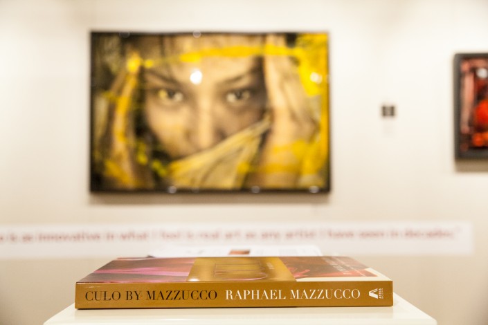 IMG 9342 705x470 Corporate event photography; Castle Galleries exclusive preview of Raphael Mazzucco exhibition